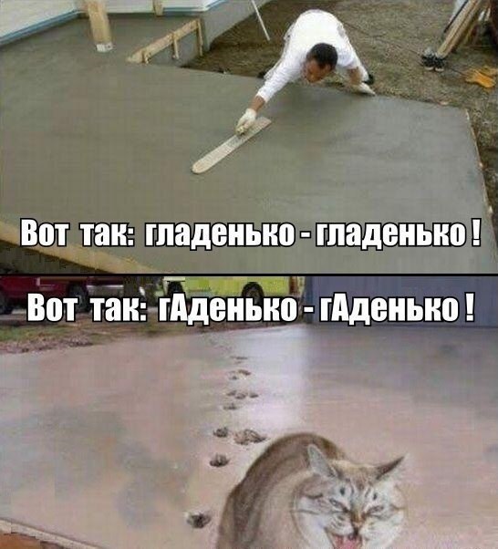 Смешные картинки с надписью до слез