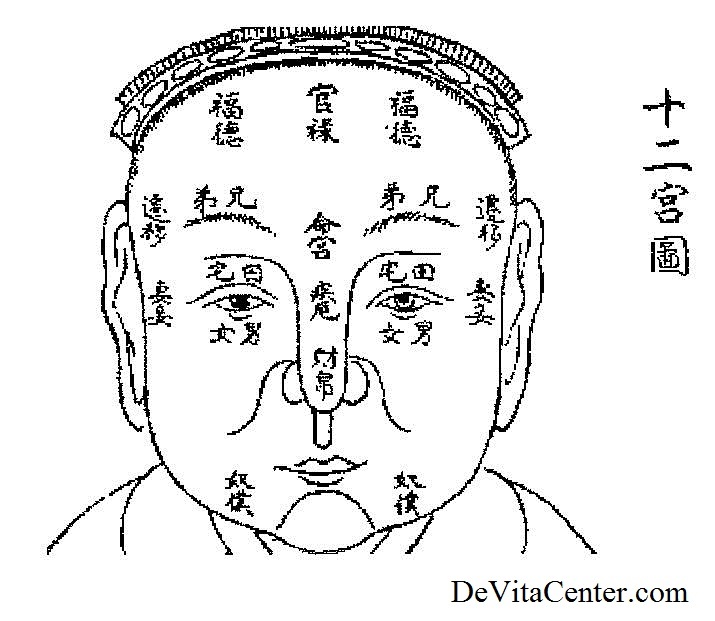 Физиогномика лица. Минсян китайская физиогномика. Китайская физиогномика лица дворцы. Китайская физиогномика лица в картинках. Физиогномика Востока.
