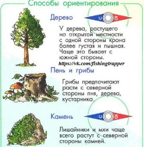 Чтобы не заблудиться в лесах надо знать приметы схема