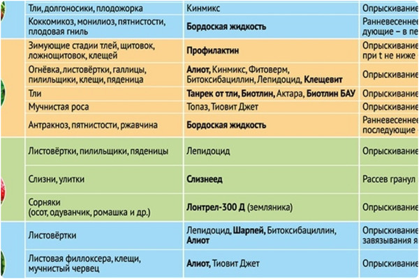 Рекомендации по защите садовых и огородных культур магазинными препаратами
http://www.gardening.kittens-world.ru/rekomendacii-po-zashchite-sadovyh-i-ogorodnyh-kultur-magazinnymi-preparatami.html
Пост содержит три файла, в которых перечислены наиболее распространенные препараты защиты огородных, садовых  и цветочных культур, их область действия и срок применения. Картинки содержат краткие рекомендации по использованию препаратов.
#сезонные_работы, #защита_растений, #препараты_защиты