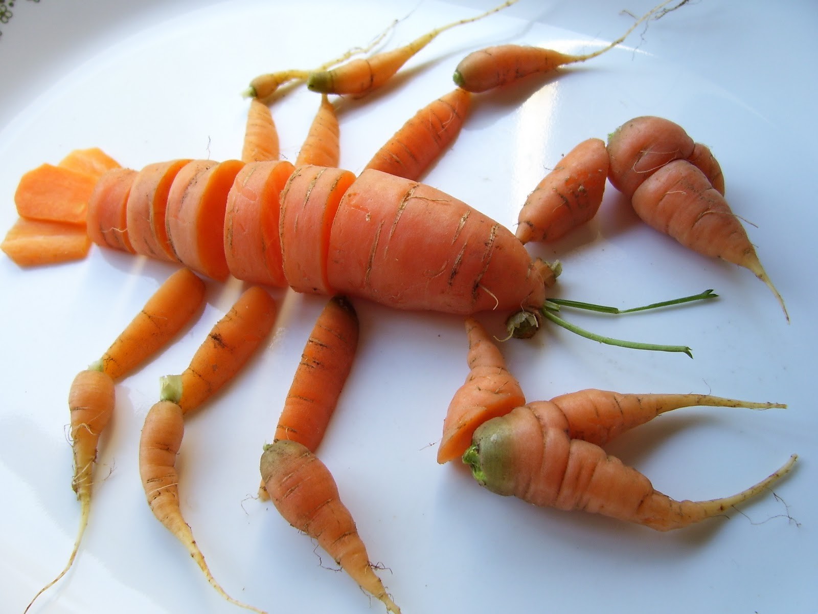 Омар из морковки