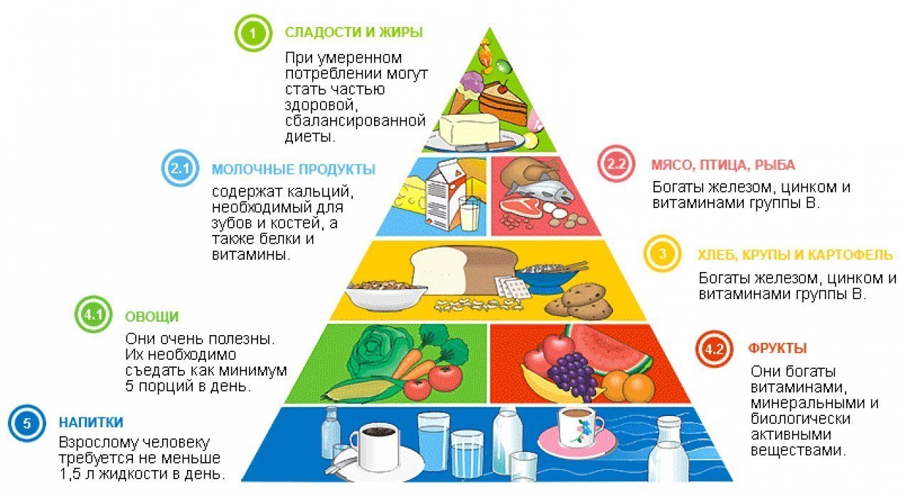 Схема питательные вещества необходимые для организма человека