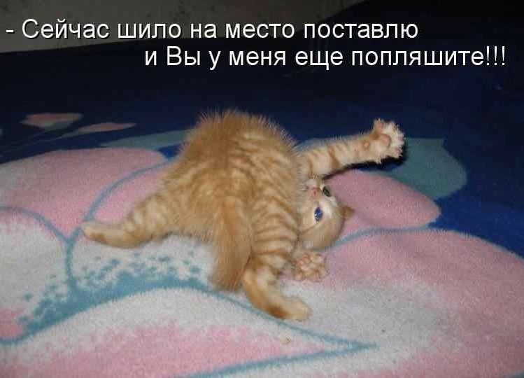 Картинки накажу милый, день