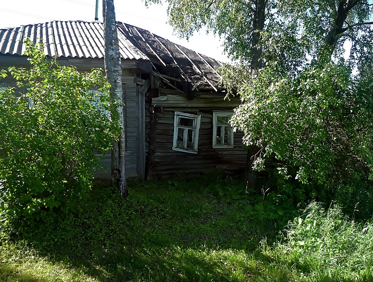 Молоково тверской обл. Деревня Молоково. Поселок городского типа Молоково. Деревня Подолово Тверская область.