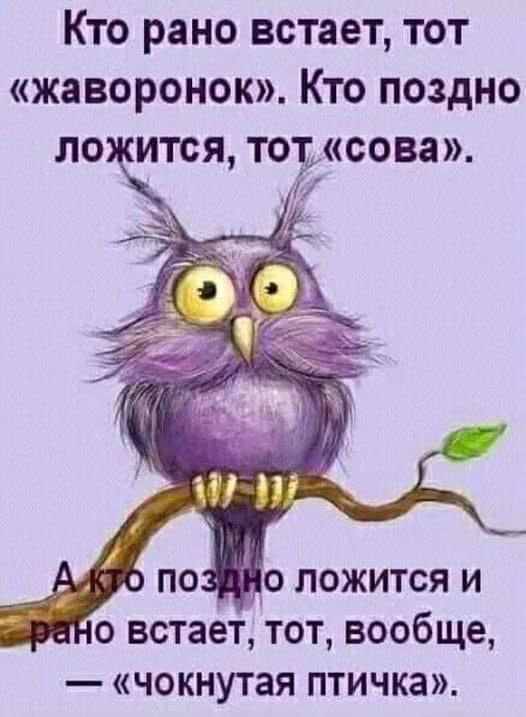 Чокнутая птичка картинка