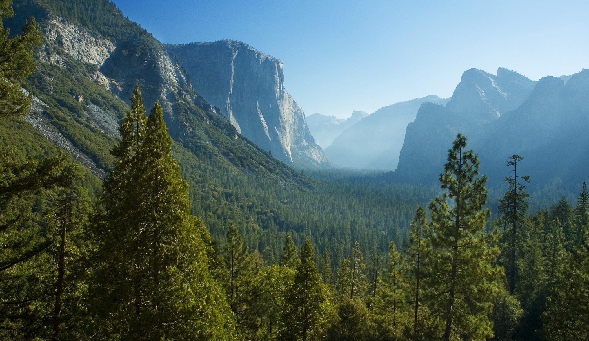 Умеренные хвойные леса. Национальный парк Йосемити Калифорния. Долина Йосемити, США. Кордильеры парк Йосемити. Йосемити хвойный лес.
